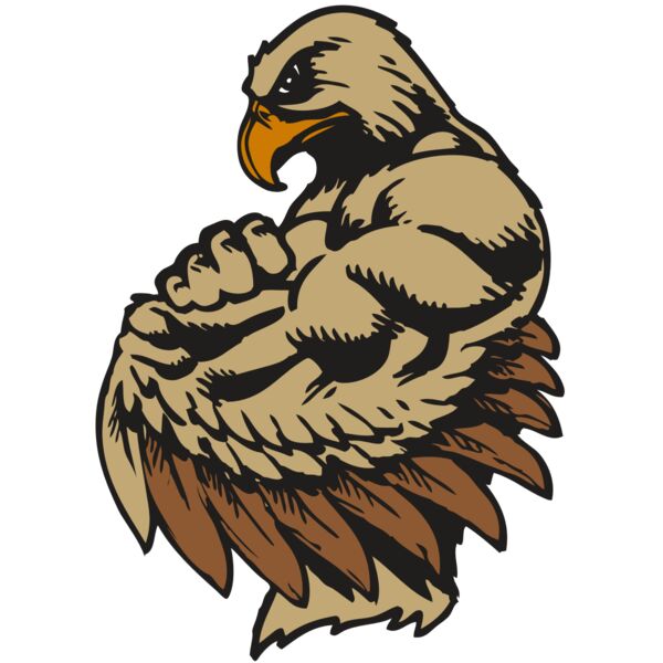 BAW HWK FLCN 02 RC Thumbnail